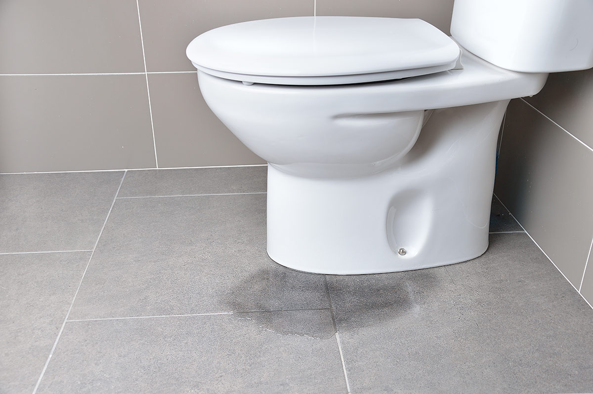 トイレ床の水漏れが起きたらチェックしたいポイントと対処方法 クラシアン
